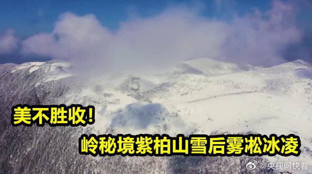 可爱奥莉甜美夏装